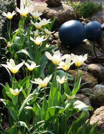 Frühling18121101